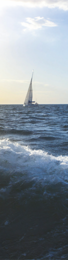 0033990����˹(�й�)���޹�˾ -Best Of Best