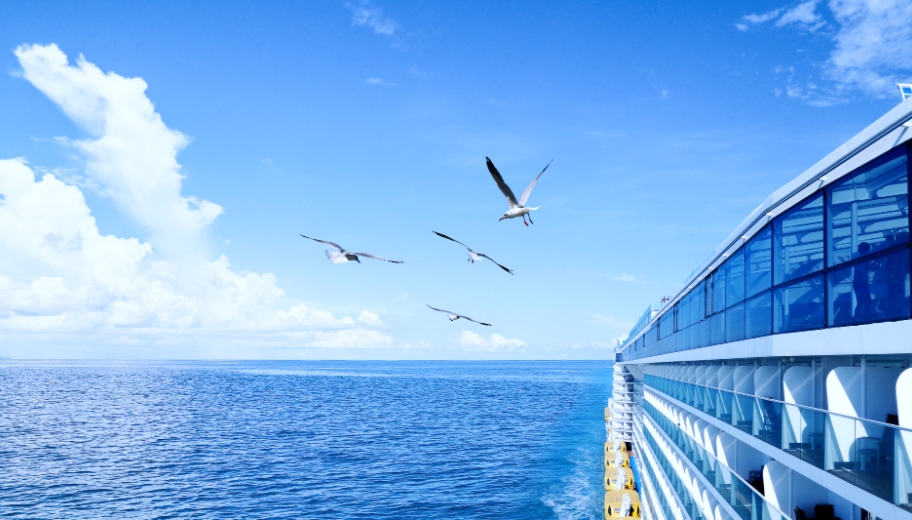 0033990����˹(�й�)���޹�˾ -Best Of Best