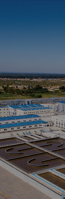 0033990����˹(�й�)���޹�˾ -Best Of Best