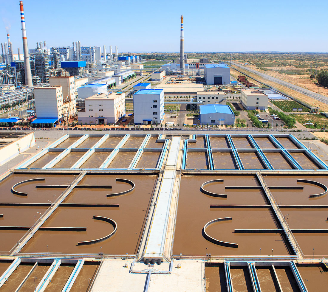 0033990ÍþÄá˹(Öйú)ÓÐÏÞ¹«Ë¾ -Best Of Best